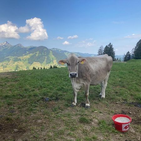 Wies Stein  Esterno foto