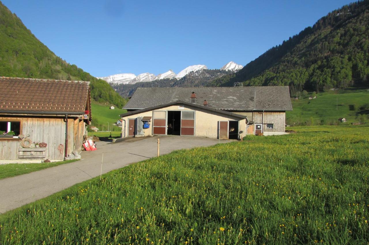 Wies Stein  Esterno foto